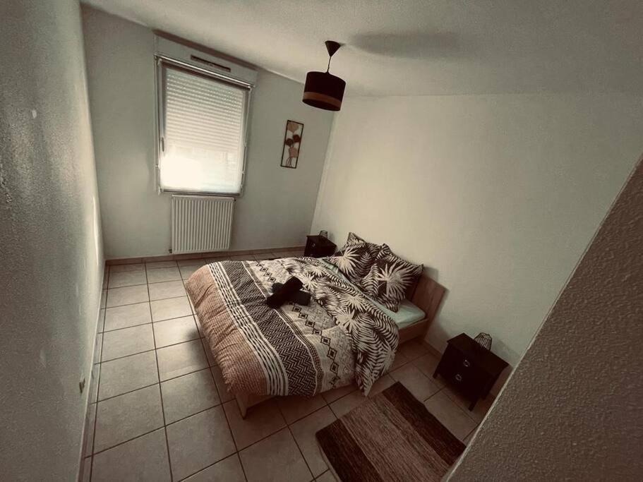 Magnifiquet3 Centre/gare/parking Annemasse